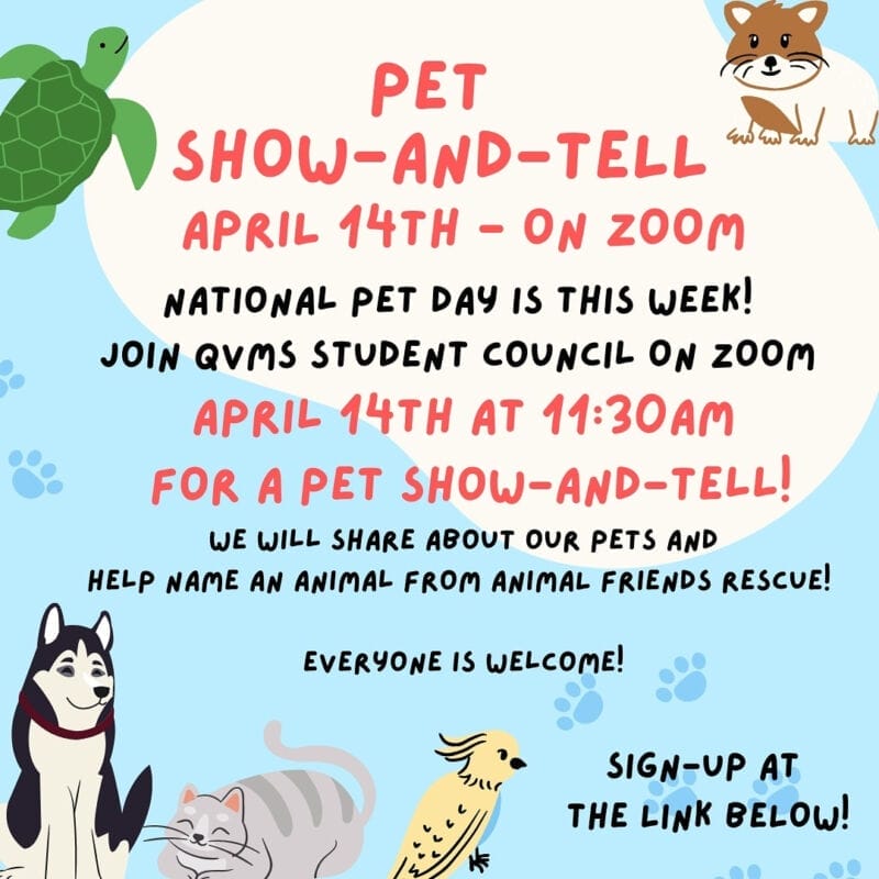 Data-Driven Pet Marketing Strategies: Boost Your Results 1 111