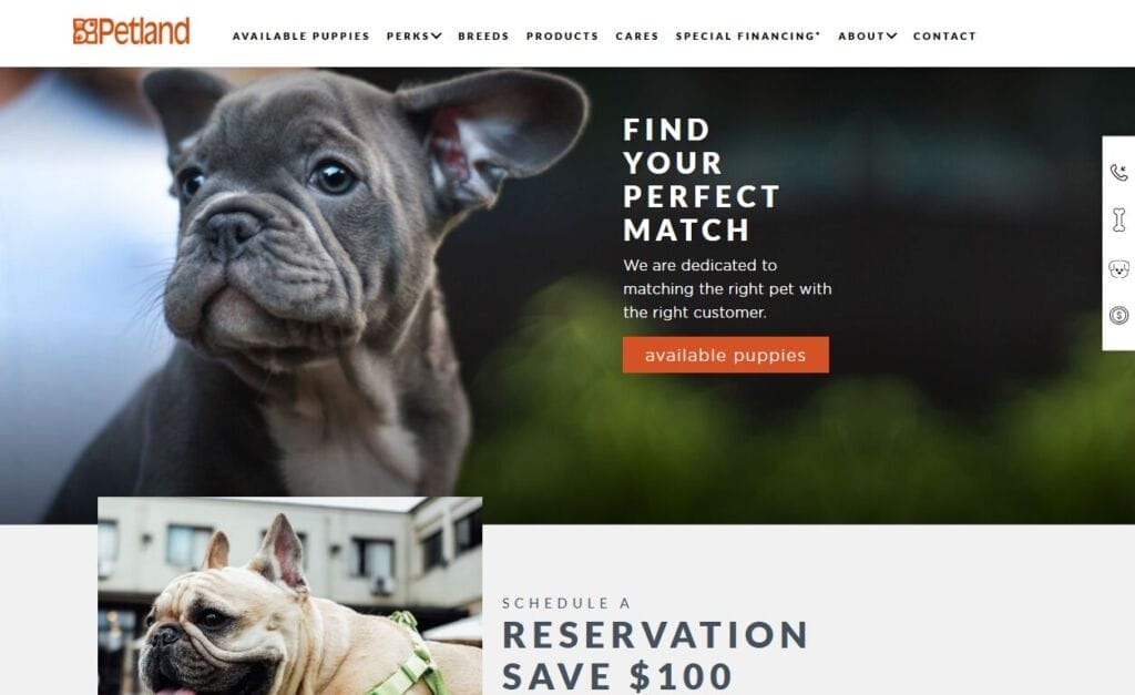 Data-Driven Pet Marketing Strategies: Boost Your Results 3 113