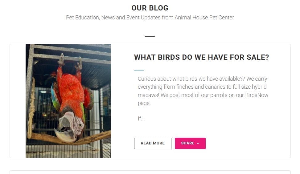 Data-Driven Pet Marketing Strategies: Boost Your Results 4 114