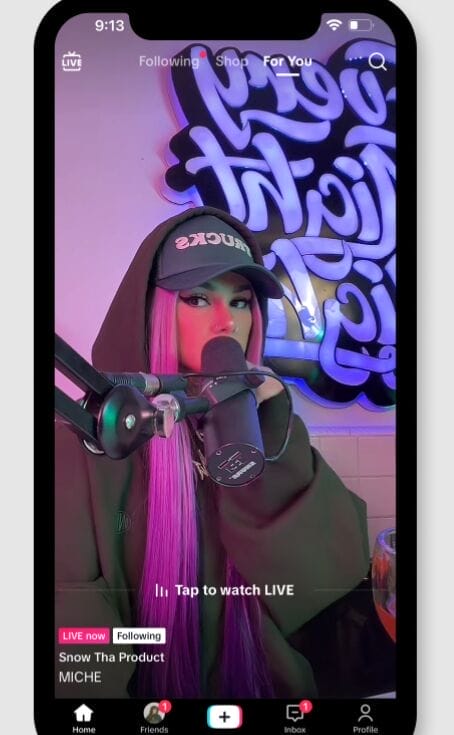 Useful TikTok Marketing Strategy: A TikTok Marketing Guide 8 33