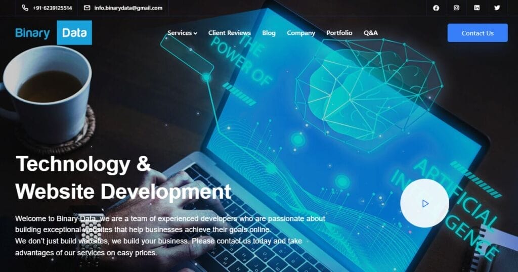 Discover the Top 10 Digital Marketing Companies in Chandigarh 6 Binary Data Pvt. Limited