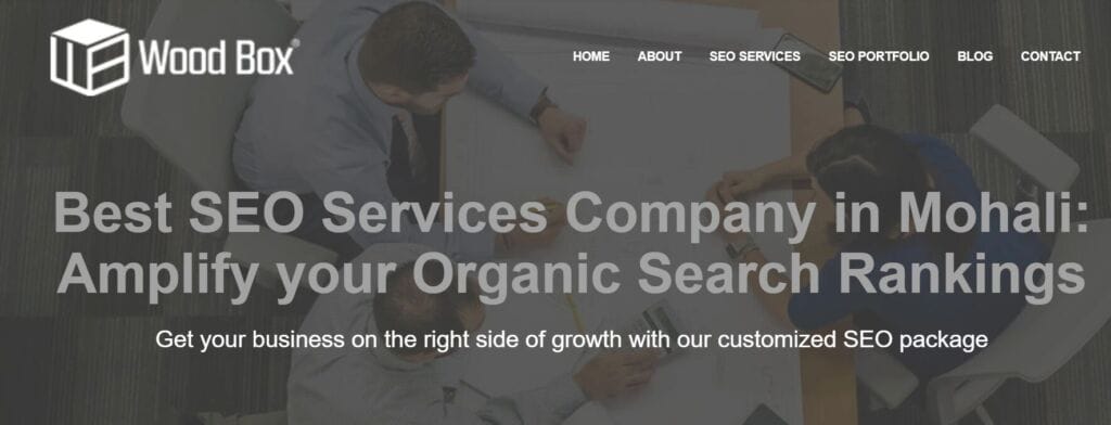 Top 10 Digital Marketing Companies Mohali 9 Companies In Mohali9