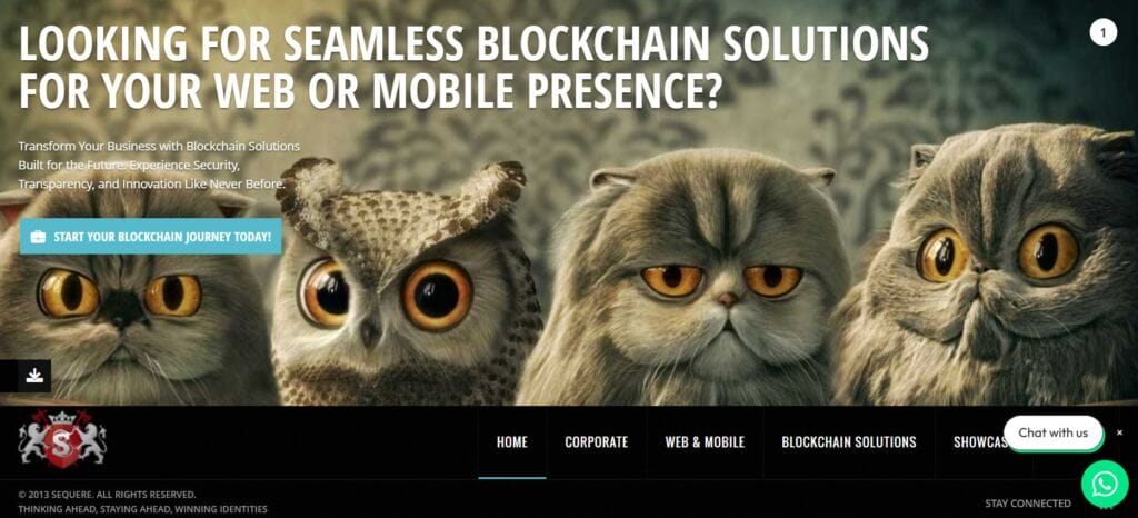 Digital Marketing Companies in Mohali3