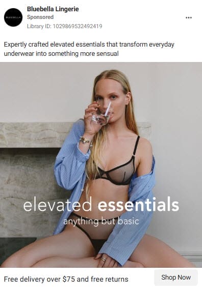 Facebook Ads Examples For Lingerie Business3