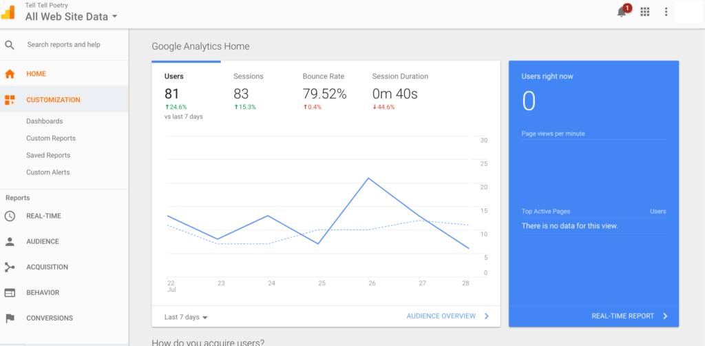 SEO for Pet Stores: Tips for Online Pet Store Optimization 6 Install Google Analytics