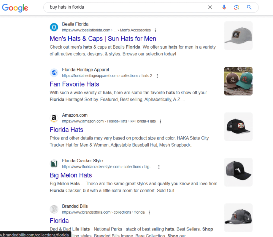 Local SEO (if relevant)