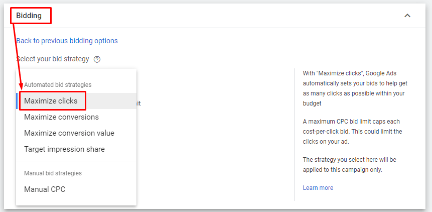 Google Ads Automated Bidding Strategy