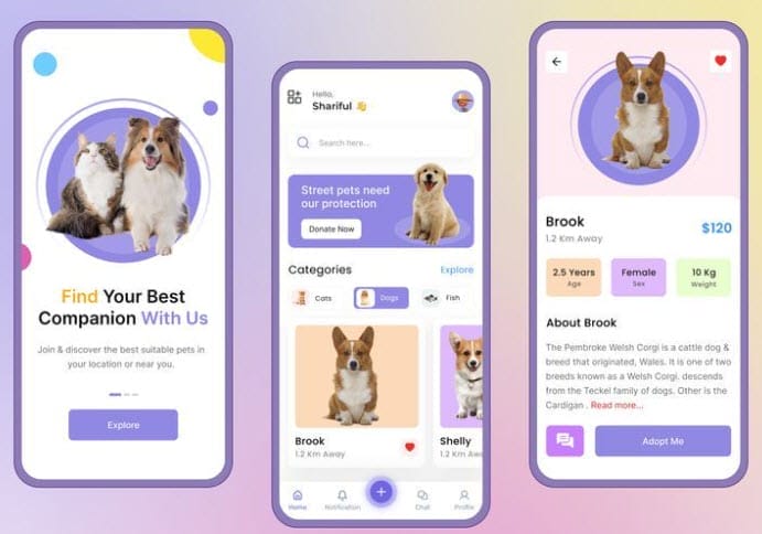 SEO for Pet Stores: Tips for Online Pet Store Optimization 2 Mobile Friendly Web Design