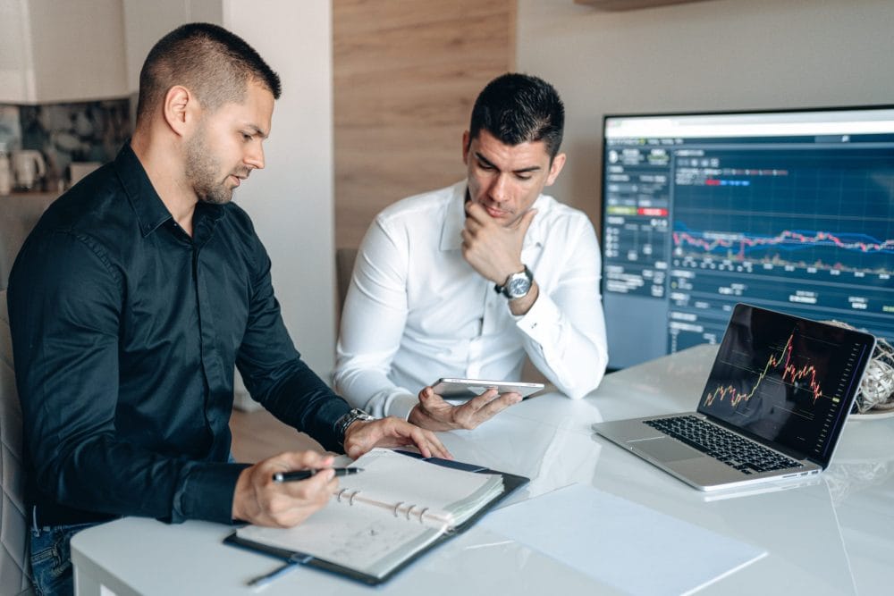 SEO Company Primelis1
