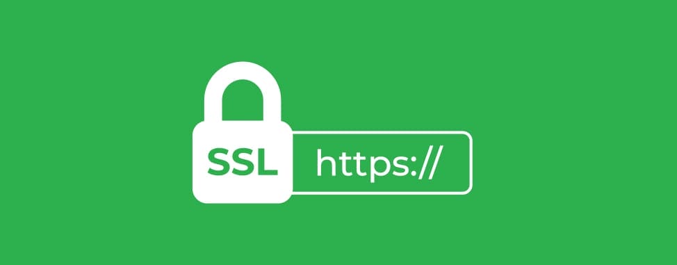 SEO for Pet Stores: Tips for Online Pet Store Optimization 3 SSL Certificate