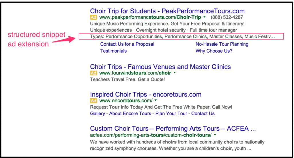 Structured Snippet Extension