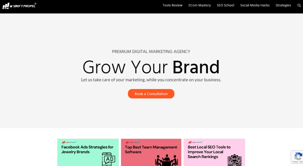 WordPress SEO Agency in India