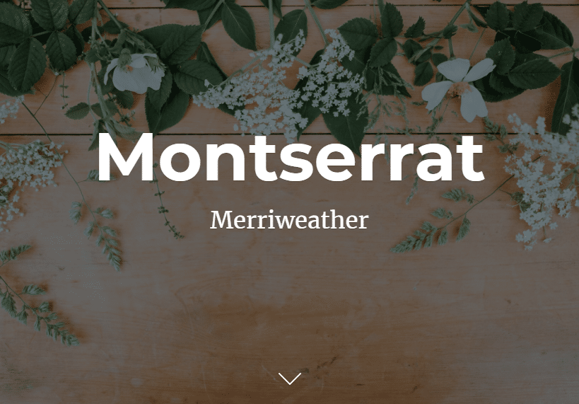 fonts for an Ecommerce Store