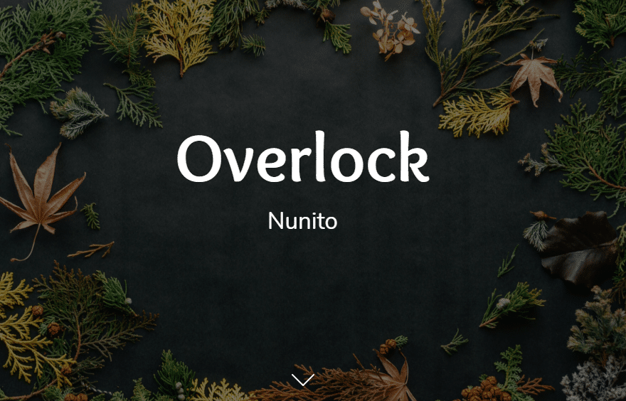 fonts for an Ecommerce Store