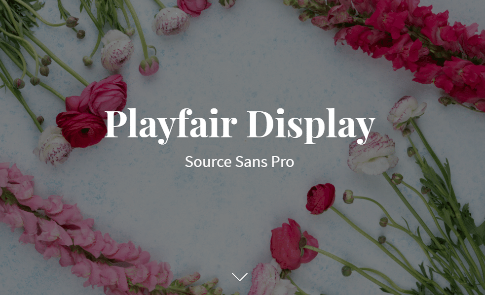 fonts for an Ecommerce Store