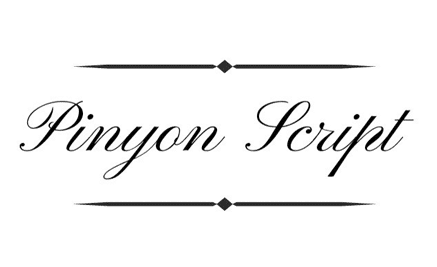 fonts for an Ecommerce Store